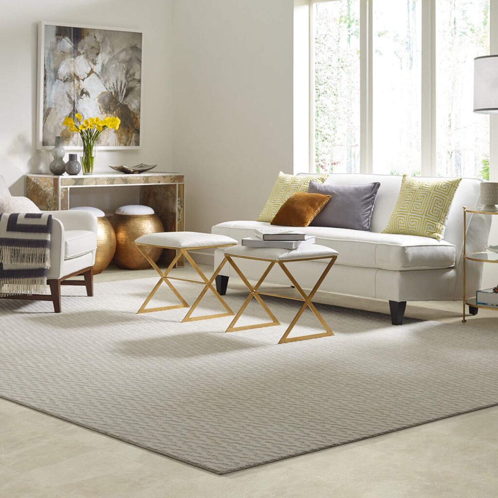 Living Room Area Rug | Direct Flooring Center