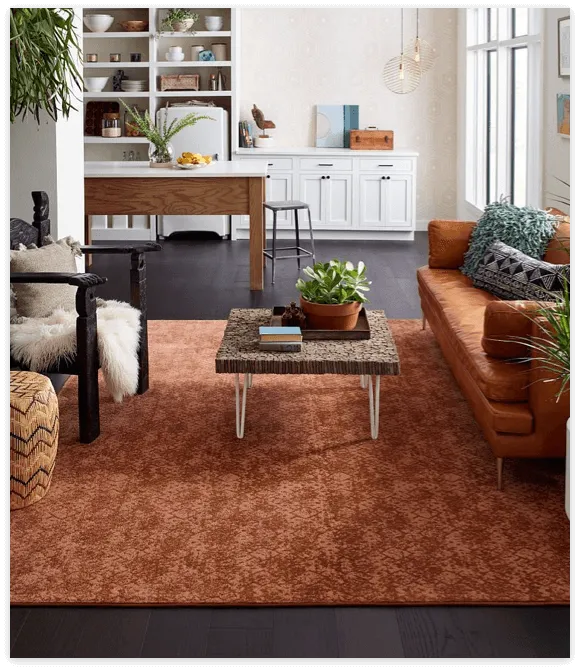 Choosing-Rugs-img